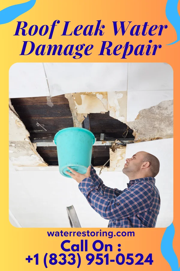 Roof Leak Water Damage Repair in Burbank, CA